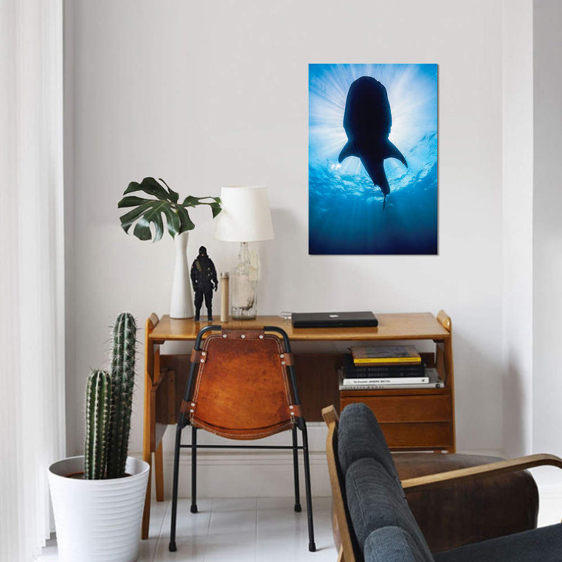 " Whale Shark In Isla Mujeres, Mexico II " by Jennifer Idol, 40" H x 26" W x 1.5" D, Wrapped Canvas, No Mat