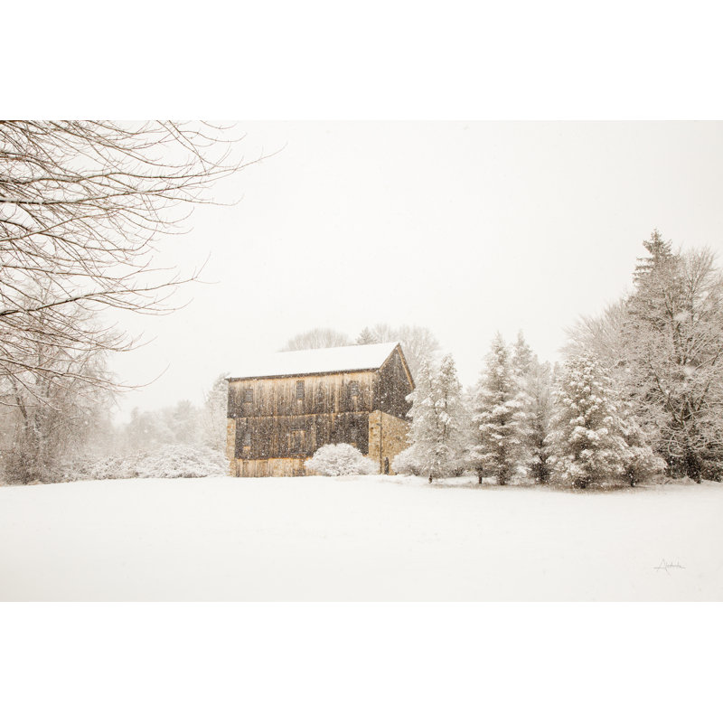 First Snow Crop by Aledanda - Wrapped Canvas Print, 61cm H x 91cm W x 3.8cm D