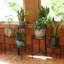 Harrisonville 3 Piece Plant Stand Set