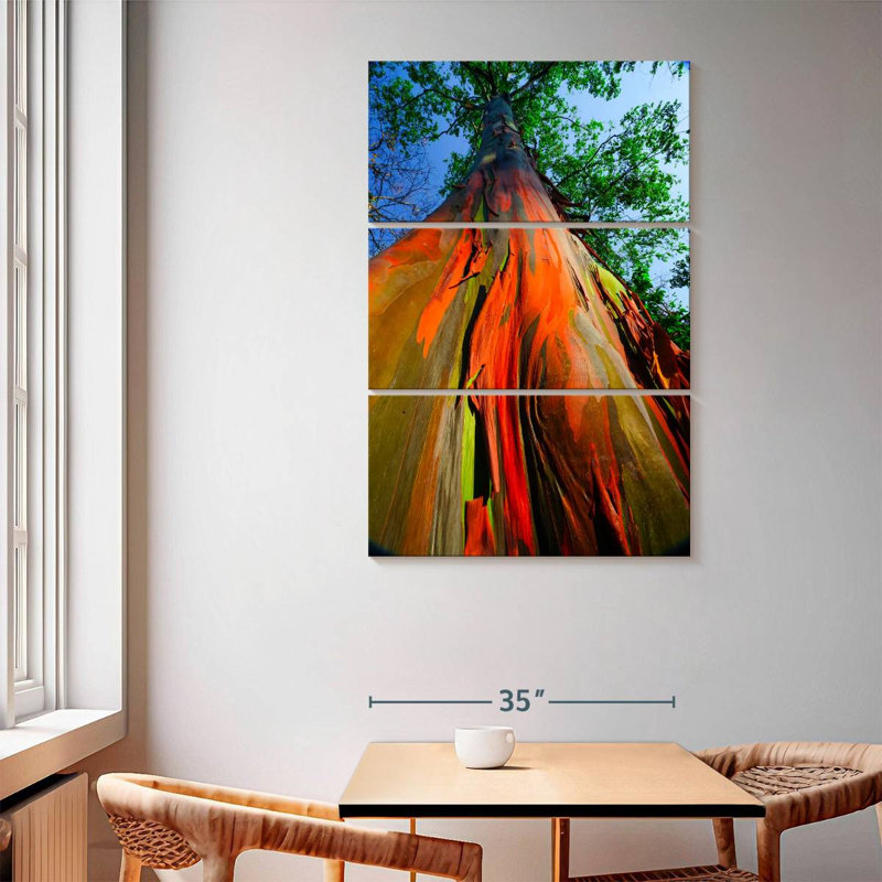 Harnek Rainforest Rainbow Eucalyptus