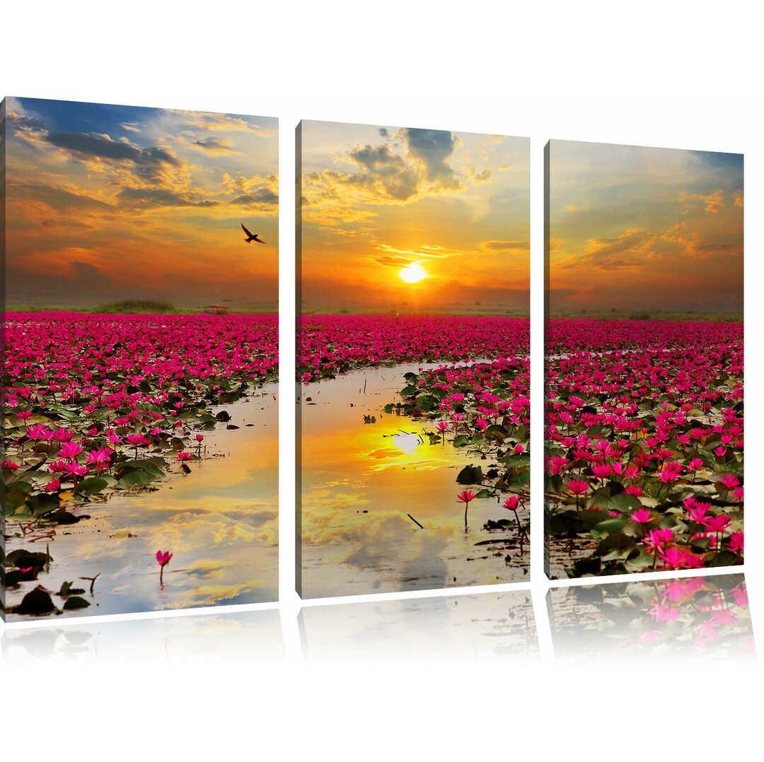 3-tlg. Leinwandbilder-Set Lotus Blossoms in Lake at Sunset