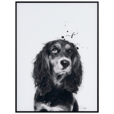 " Cocker Spaniel "