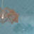 Perfecto-Marvelli 4-in. x 16-in. Subway Textured Glossy Ceramic Wall Tile-73295316