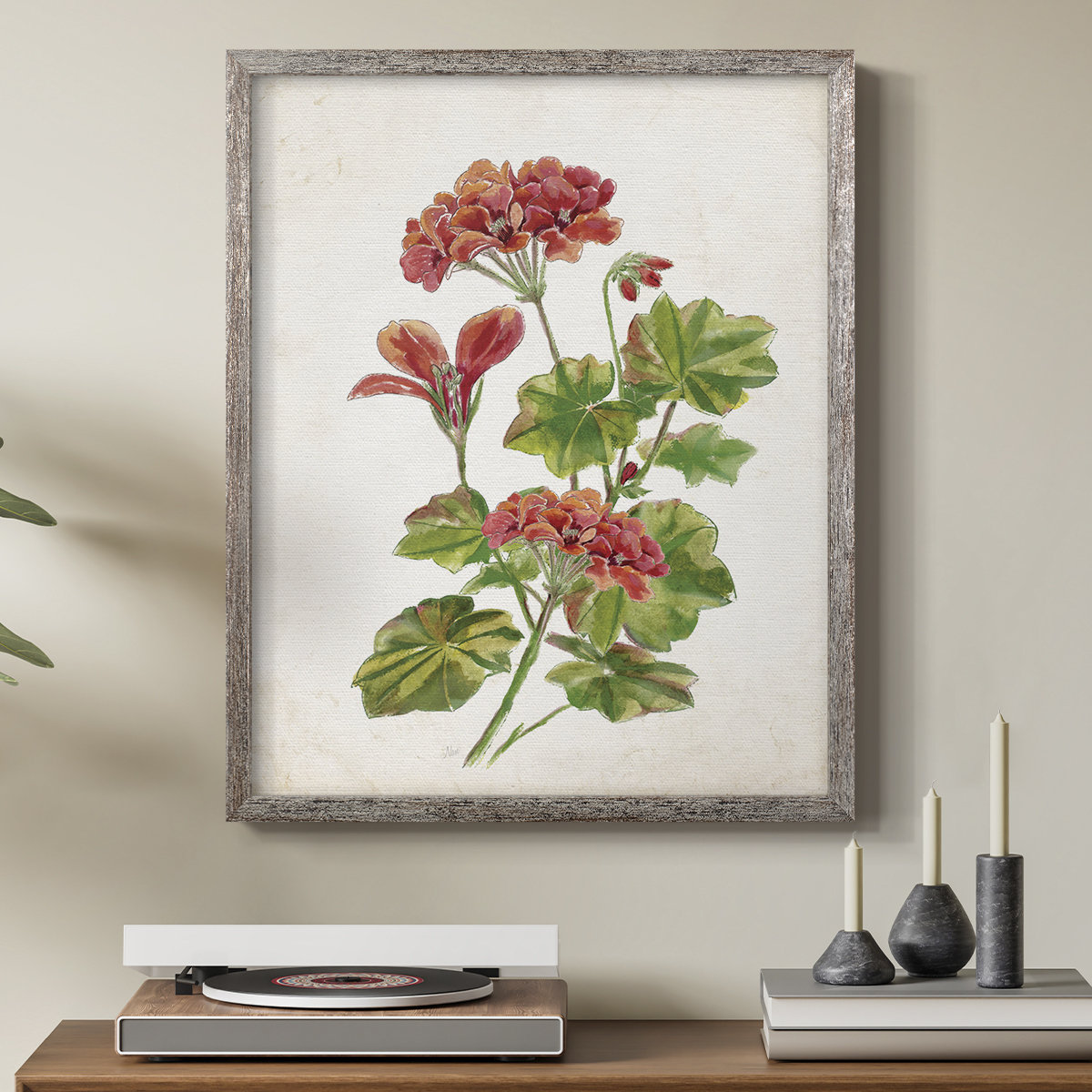 Winston Porter Scarlet Botanical II Framed Print - Solid Wood | Wayfair