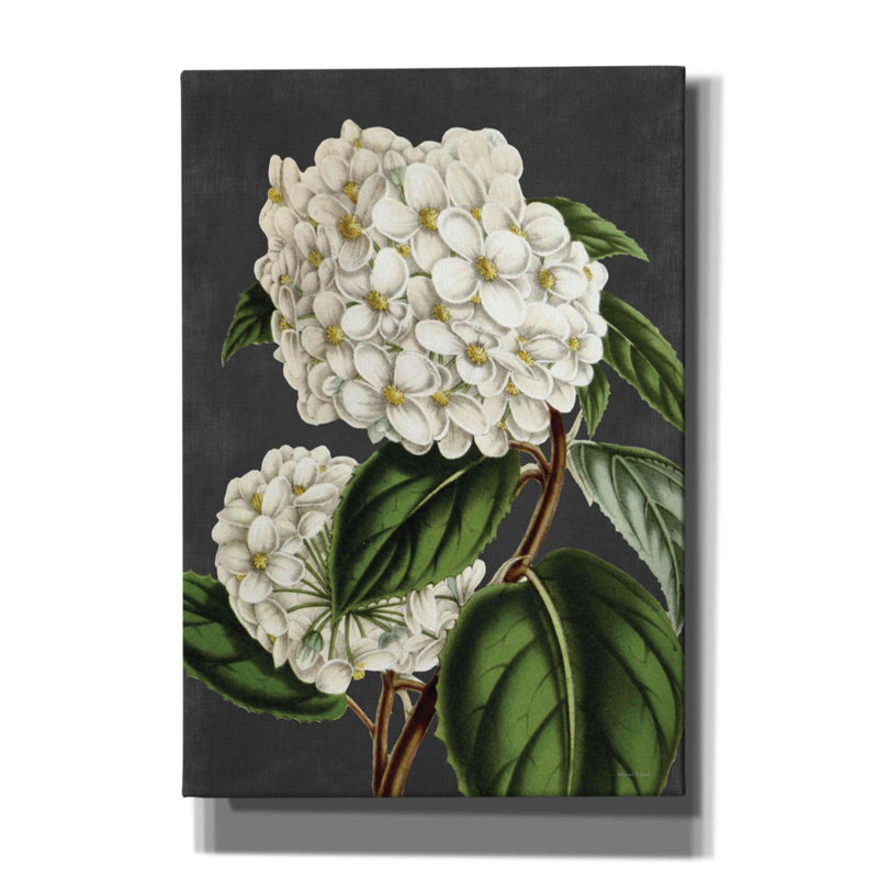 «Hydrangea» par - impression sur toile tendue, H 26 po x l 18 po x P 0,75 po