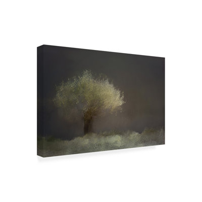 Mariruth Gaille Gray Willow Canvas Art