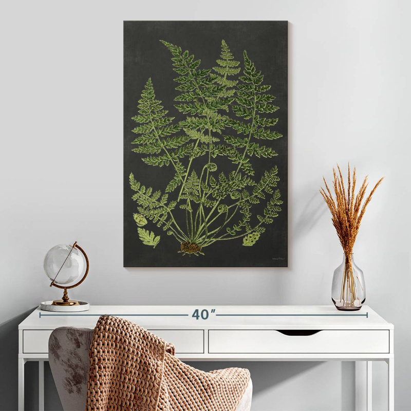 Harnek Fern Study, H 30 po x l 20 po
