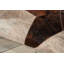 Tapis brun/gris Arcata