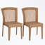 Ensemble de 2 chaises en rotin avec quatre pieds robustes-19984118