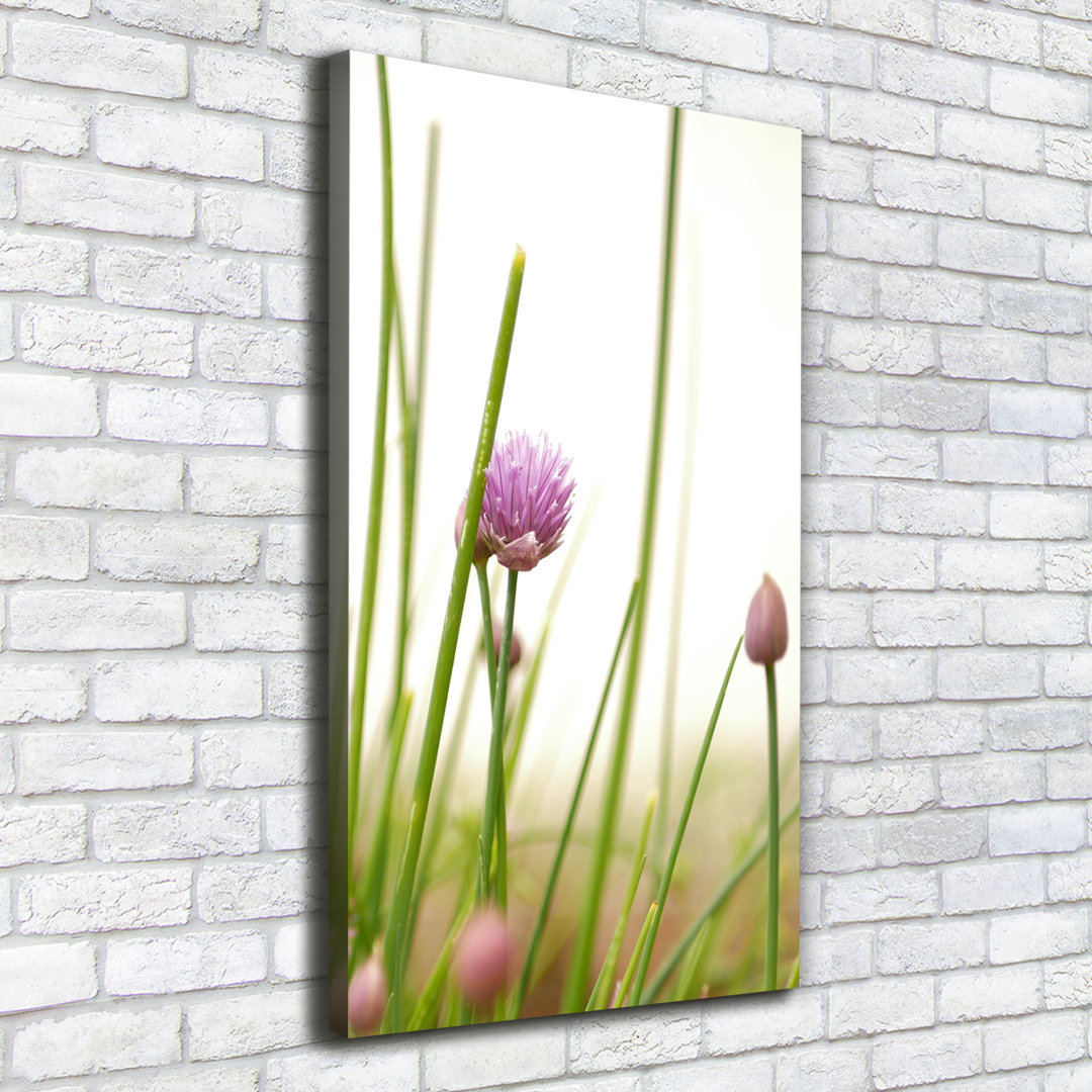 Flower Of Chives - Wrapped Canvas Print