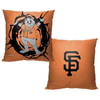 Polyester Throw Square Pillow Cover