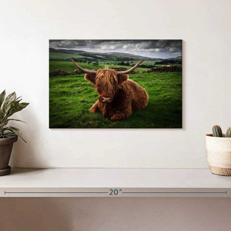 Brampt Mellow Highland Cow, 8" H x 12" W