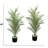 48" Glow in the Dark Palm Trees