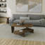 Ensemble de tables basses-1196199648