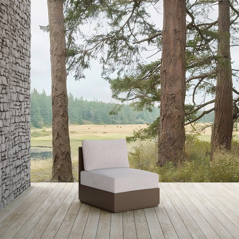 Sydney Armless Chair Charcoal + Slate Cushion, Fawn, Bronze