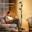 Lampe sur pied à DEL noire 68 po avec télécommande et contrôle tactile Makenzlee-1136961689