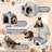 Dagenham Cat Tree Tower Condo Cat Furniture with Scratching Post for Kittens-1633495510-1665080516