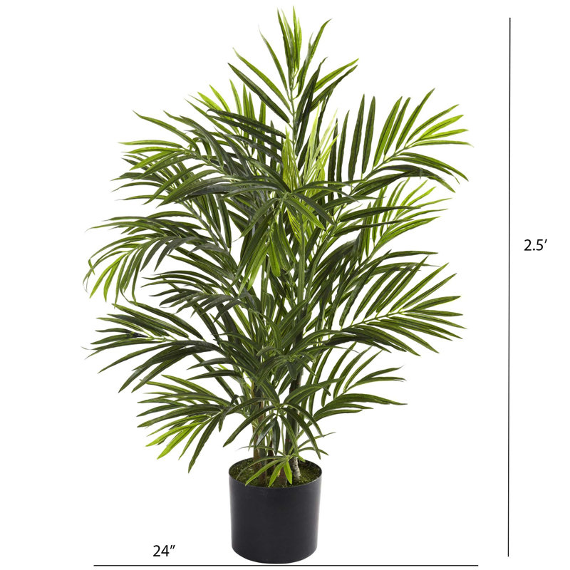 Areca Palm Tree in Pot, 30" H x 24" W x 24" D