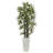 Bamboo Tree in White Tower Planter