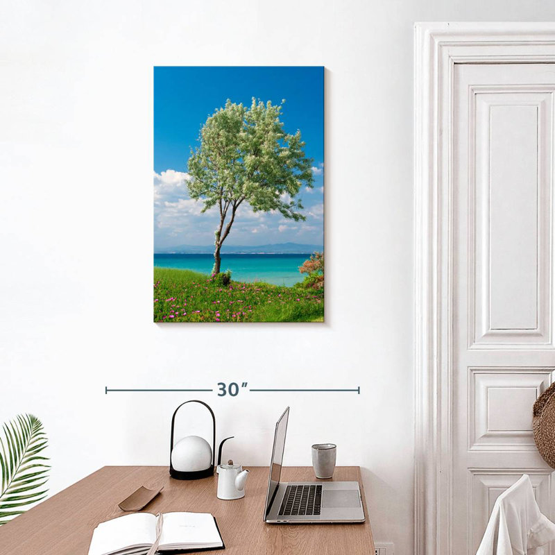 Harnek Seaside Olive Tree, 30" H x 20" W