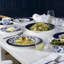 Hibiscus 8.9in Accent Plate