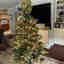 Customer photo 6 of 6