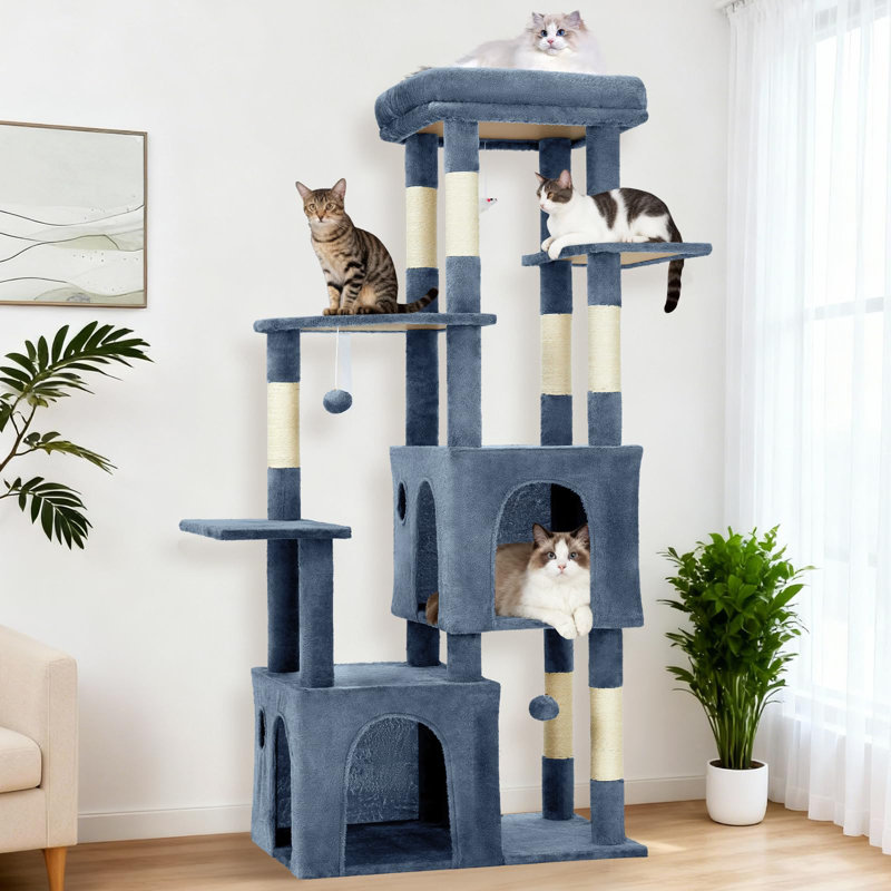 156cm H, Blue/Beige