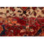 Aryana Wool Oriental Area Rug