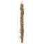 Faux Medusa Branch