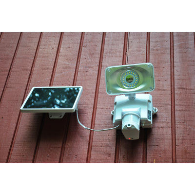Solar Power Video Enabled Outdoor Security Flood Light with Motion Sensor