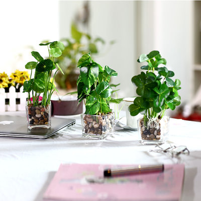 9.3'' Faux Foliage Plant in Glass Pot