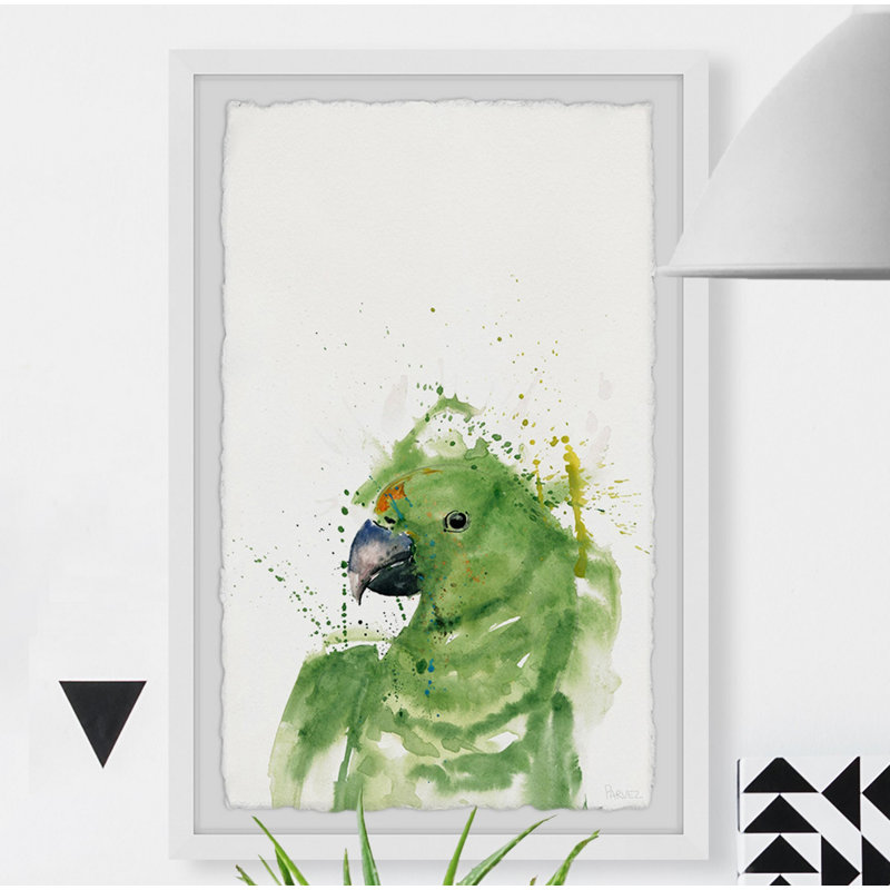 «Green Parrot», reproduction encadrée, H 30 po x l 20 po x P 1,5 po