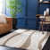 Esmeray Florida Shag Performance Abstract Rug
