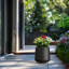 Grand pot à fleurs Brenno-310169912-293152731