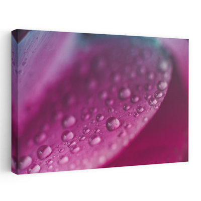 «Rose Petal Water Drops Abstract Delicate Vibrant Flower Nature», reproduction d'art murale