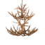 Rustic Lodge 12 - Light Chandelier
