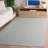 Bester Hand Woven Cotton Geometric Rug-20947110