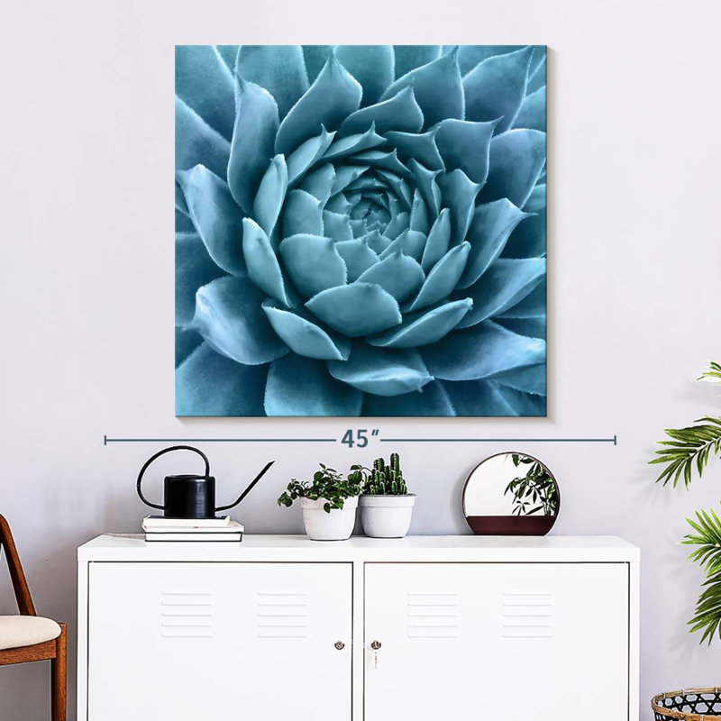 Silvery Blue Agave, 33" H x 33" W
