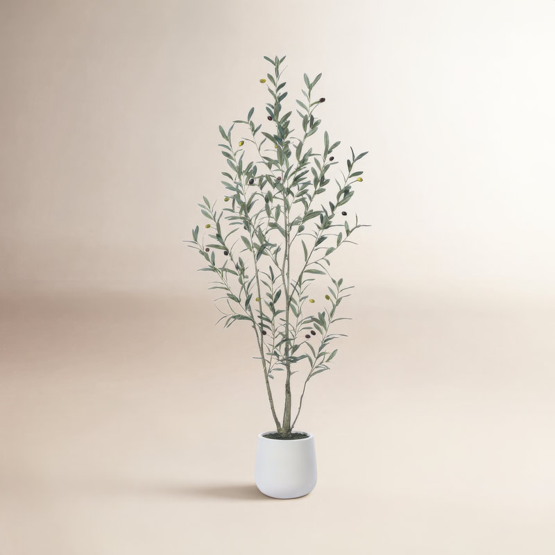 Faux olivier en plastique George avec pot ovale blanc, H 60 po x l 20 po x P 20 po