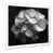 White Picture Framed is unavailable