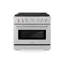 ZLINE 30 in. 4.2 cu. ft. Paramount Dual Fuel Range W/ 4 Burner DuoPro Cooktop and Electric Convection Oven in Satin Stainless Steel-603319642-603319647