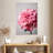 Pink Hydrangea-1667340038