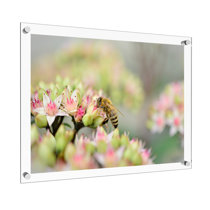 Best Deal for 2-1/8 Deep Polystyrene 16x24 Black Floater Picture Frame