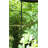 Set of 2 Pcs Hammock Tree Straps Suspension System with 2 Carabiners