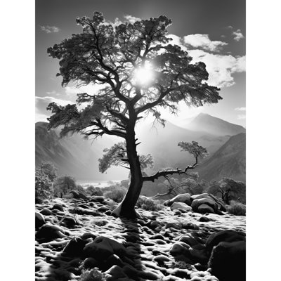 Wall Art Print Frozen Tree Outline in Mountain Forest Landscape Covered in Snow Photograph Winter Sunshine Poster