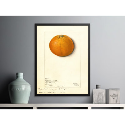 Isolda No Frame Print