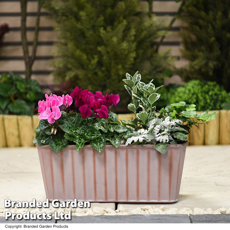 Burchill Planter Box - Twin Pack