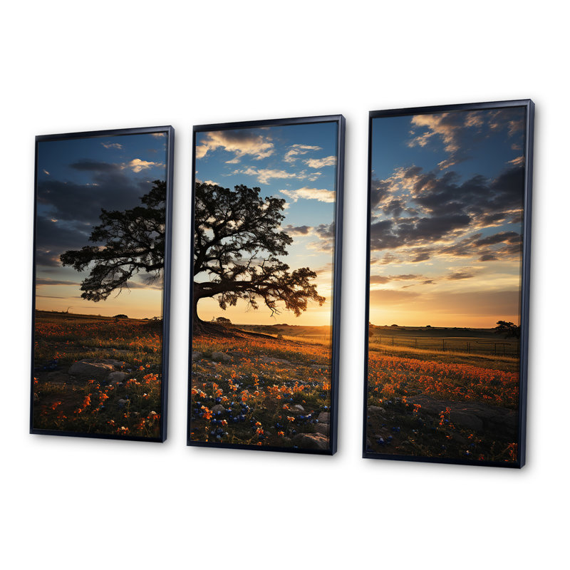 «Orange Bonnets Field With Sunset - Blue Bonnets», ensemble d'art sur toile, H 28 po x l 36 po x P 1 po, Cadre flottant noir