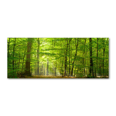 Deciduous Forest - Wrapped Canvas Print