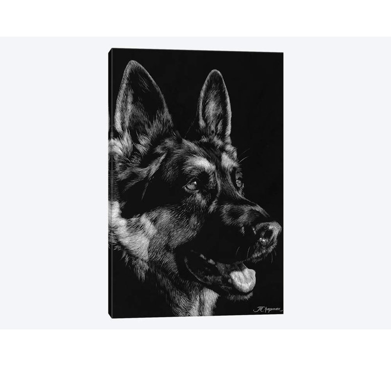 «Canine Scratchboard I», impression sur toile, H 12 po x l 8 po x P 0,75 po, Toile tendue, Pas de tapis